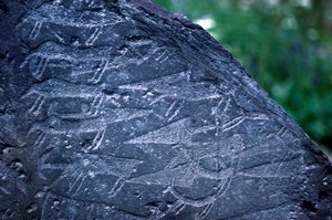 Close-up of Rock Drawings in Naquane National Park