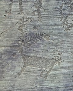 Petroglyphs on Rock