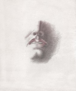 Study for the Face of a Man: Mouth and Nose by . .