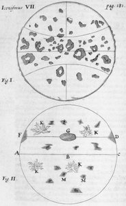 Sunspots by Frederick (attr. to) Barnard