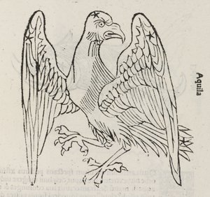 The Constellation of Aquila by John Pardon