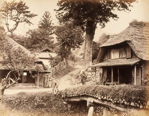 View at Eiyama by John Pardon