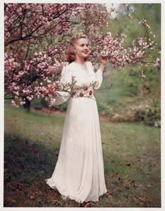 Woman modelling a dress near blossom, c 1940s by Frederick (attr. to) Barnard