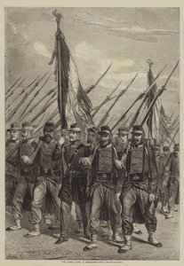The Flags borne in Procession