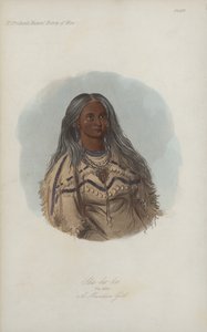 Sha-ko-ka, The Mint, A Mandan Girl by after George Catlin