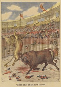Combat Between a Lion and a Bull