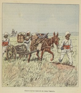 Hova Cannons Brought to the French Camp by after Louis Charles Bombled