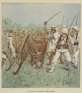 A Cattle Raid in Diego-Suarez by after Louis Charles Bombled