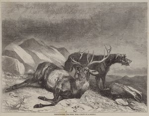 Deer-Stalking, the Dying Stag by after Richard Ansdell