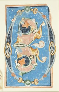 Ornamented Initial O