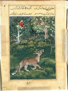 The donkey, in a tiger’s skin, reveals his identity by braying aloud, from a Tuti-nama (Tales of a Parrot): Thirty-first Night