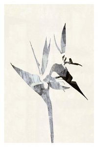 Abstract Bird of Paradise by cartissi