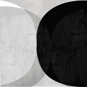 Abstract Black White Curves by cartissi