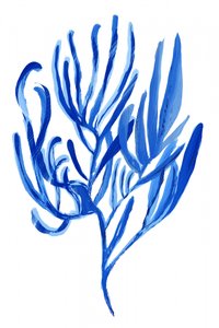 Abstract Blue Coral by cartissi