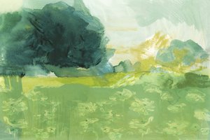 Abstract Meadow Light by cartissi