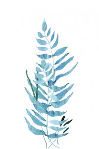Blue Watercolor Fern