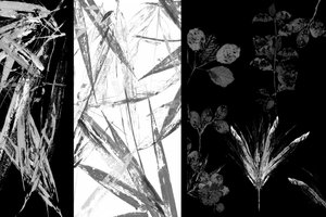 Botanical Brushstroke Forms by cartissi