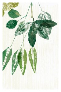 Botanical Green Leaves by cartissi