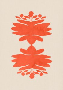 Coral Botanical Symmetry by cartissi