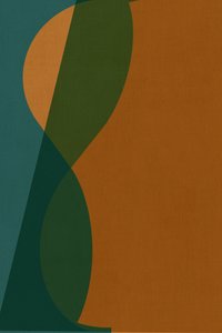 Curved Color Forms by cartissi