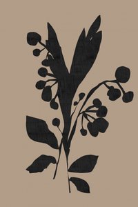 Dark Botanical Silhouette