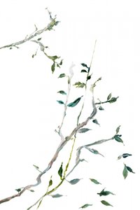 Delicate Green Branches by cartissi