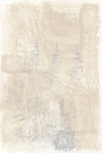 Faded Botanical Sketches by cartissi