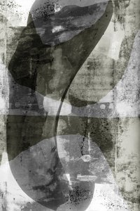 Fluid Monochrome Shapes by cartissi
