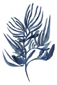 Indigo Botanical Study