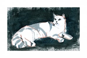 Lying White Cat by cartissi