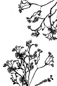 Minimalist Ink Branches