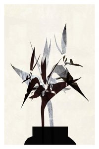 Modern Botanical Still Life by cartissi