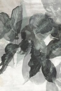 Monochrome Botanical Flow by cartissi