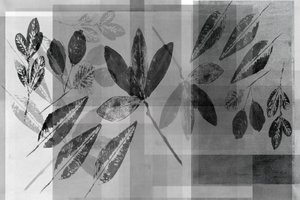 Monochrome Botanical Layers by cartissi