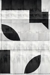 Monochrome Organic Shapes