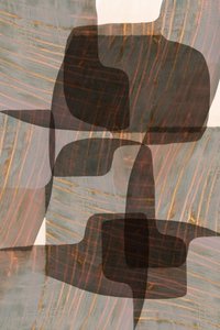 Muted Organic Forms by cartissi
