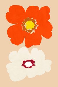 Orange and White Blooms by cartissi