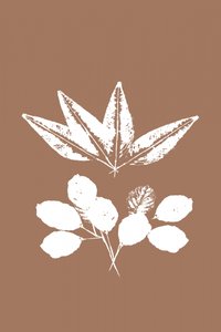 Organic Leaf Silhouettes