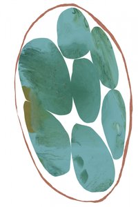 Organic Teal Gems by cartissi