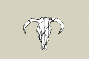 Rustic Bull Skull