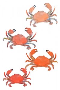 Seafood Crabs Watercolor by cartissi