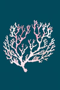 Soft Pink Coral