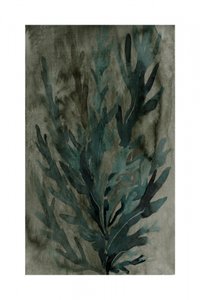 Underwater Greenery