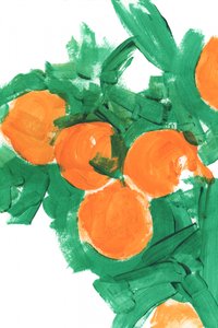 Vibrant Citrus Harvest