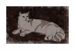 White Cat Resting by cartissi