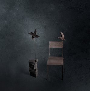 Dark Bird Empty Chair