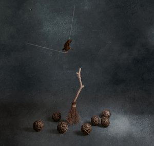 Magic Broom Flying Bird by chenyi wang