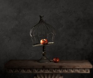 Moody Apple Still Life