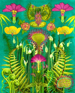 Fantasy Carnivorous Garden