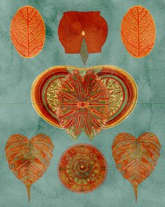 Intricate Botanical Arrangement